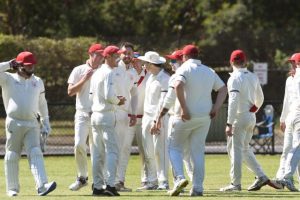 Tigers to take a Blood test