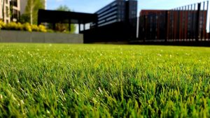 Casey Council appoints new mowing contractors