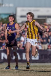Hawks chart course for flag defence
