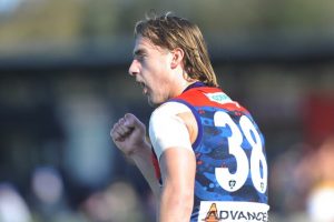 Casey arrests home ground demons in dominant VFL win
