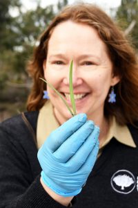 Saving a species