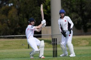 Cobras fail to capitalise