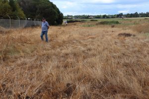 Tip leachate leak devastates farmland