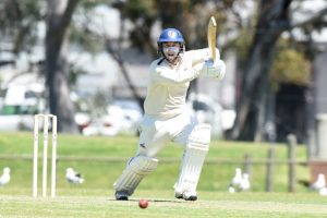 Pain for prowling Panthers