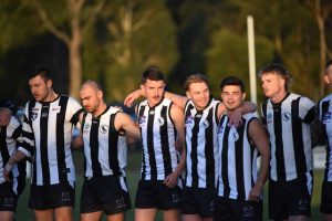 Dingoes bark against Demons