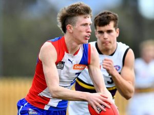 Pick one contender shines bright