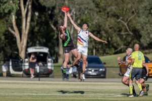 Bears destroy the Doves