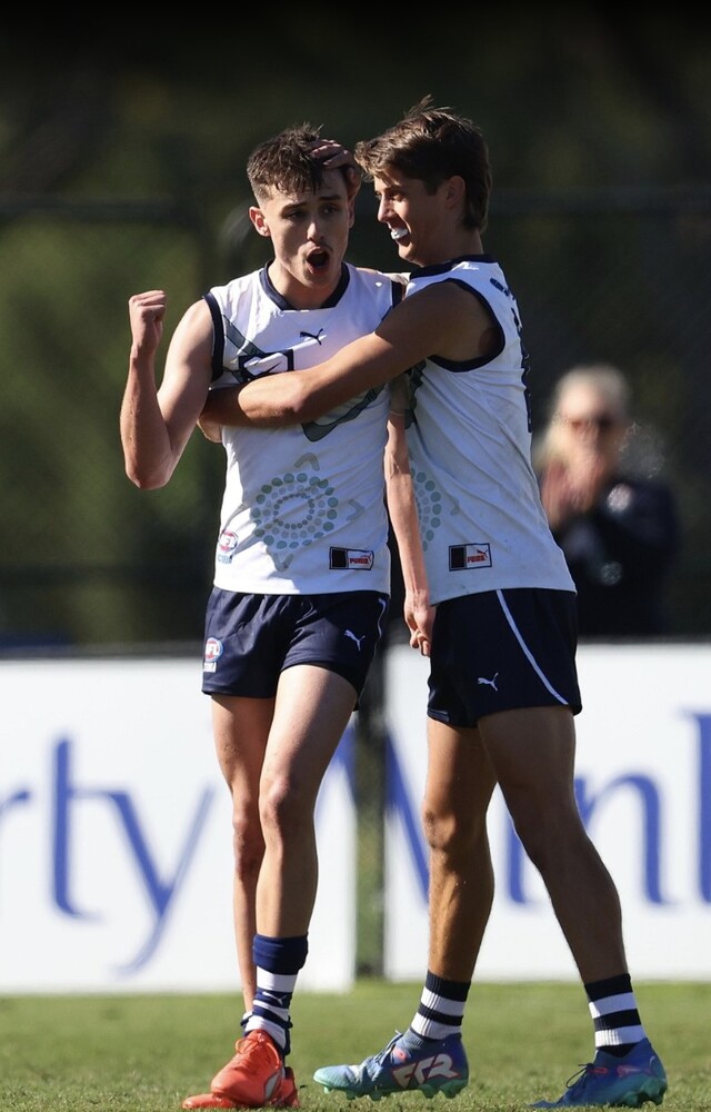 Hibbins-Hargreaves the star as 12 locals take the field for Vic Country