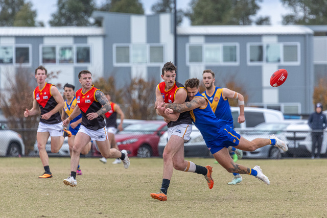 Eagles brave against Dingoes