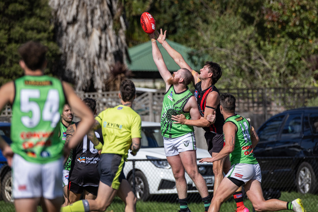 Doves dare to dream against Redbacks