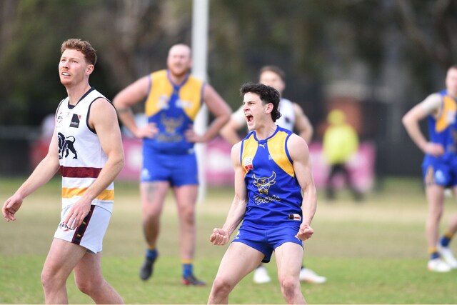 Triple Nelson hits Berwick