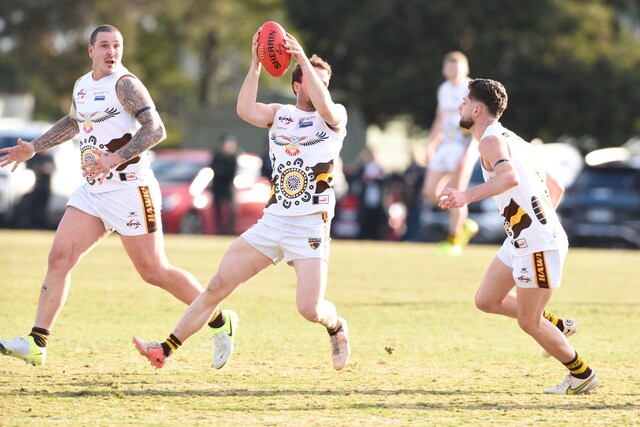 Hawks survive a cliffhanger