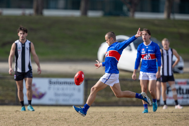 Rosellas fly over Bulldog hurdle