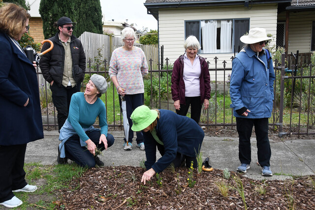 Native gardens spring kerbside