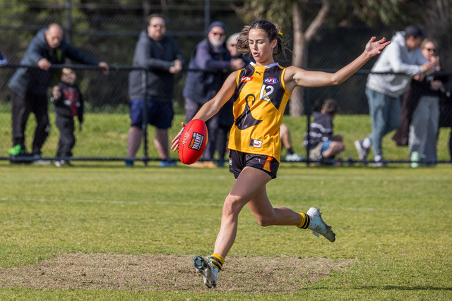 Stingrays quartet set for Academy