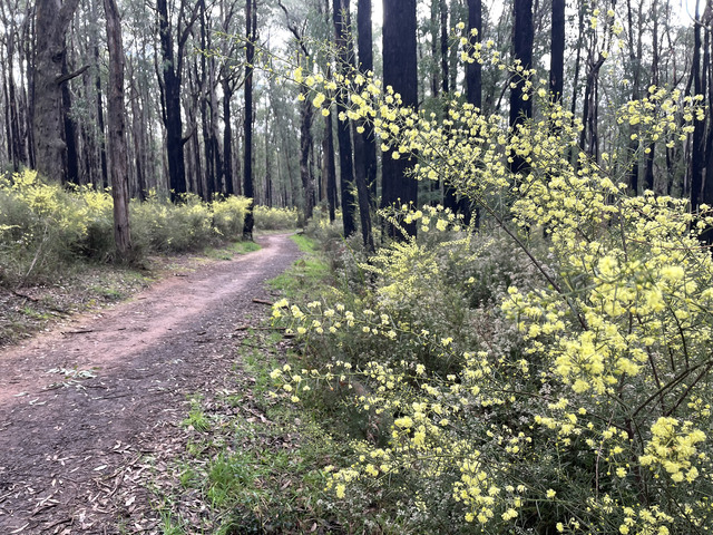 Casey Expands Environmental Volunteer Program with 10 New Reserves