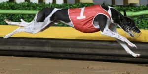 McDonald dreams of glory