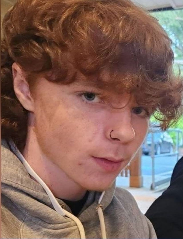 Plea for missing teen