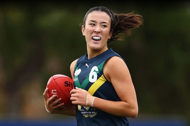 Dandenong Stingrays trio drafted