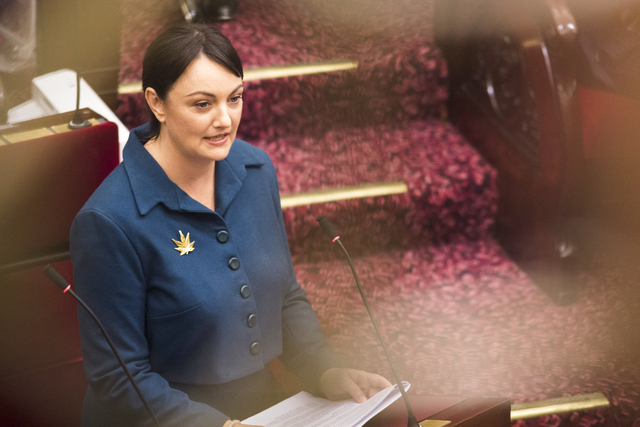 Calls to abolish begging laws by South-Eastern Metro MP