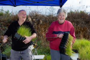 Helping bandicoots bounce back