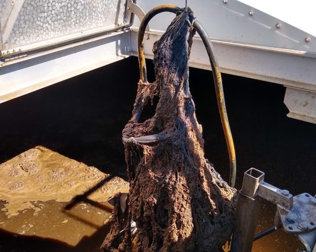 ​​Enhancing water quality with Ice Pigging innovation​