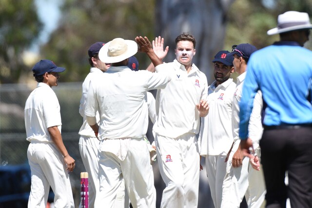 Panthers prowl then pause