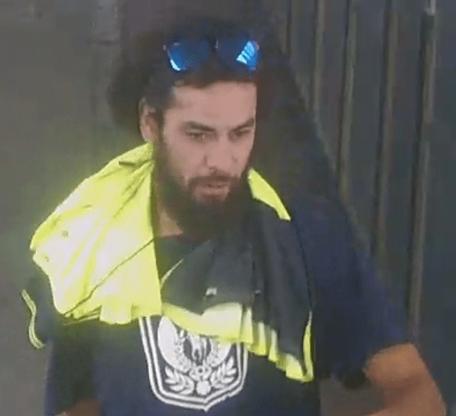 Man wanted over alleged sex assault on train