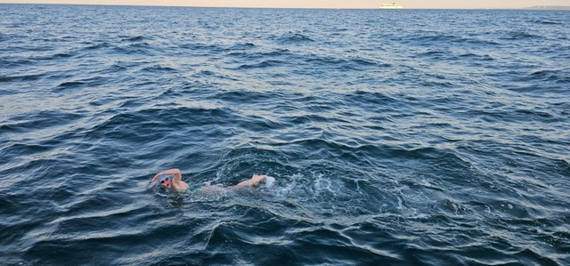 Head above water: a local swimmer’s cold, quiet, almost