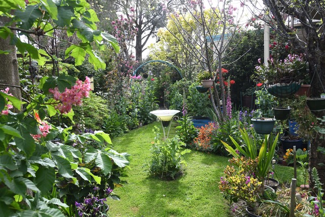 Oasis opens for a cause