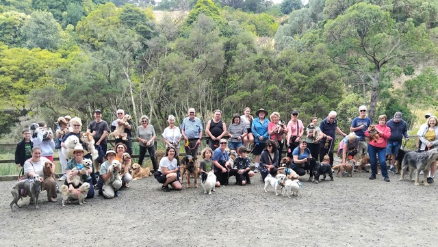 From solitude to community: ‘Talk n Dawdle’ brings locals together in Berwick