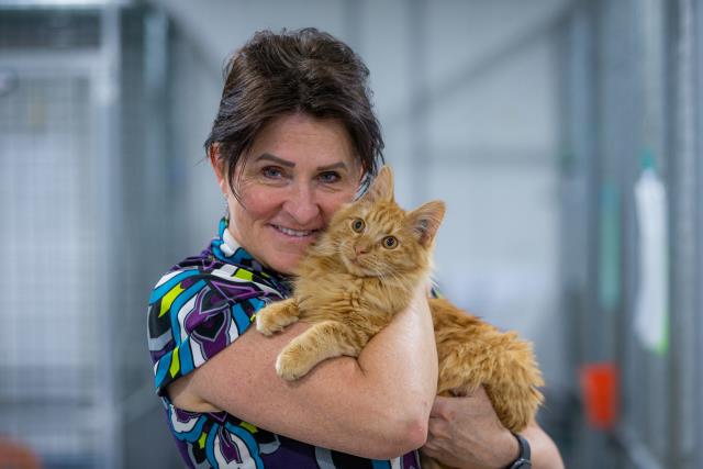 Animal shelters offer $50 to boost cat adoption