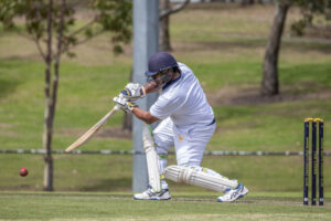 Lions hold on for second victory