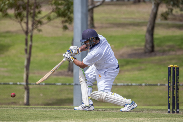 Lions hold on for second victory