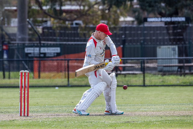 Bloodbath as the Bulls feel Springy sting